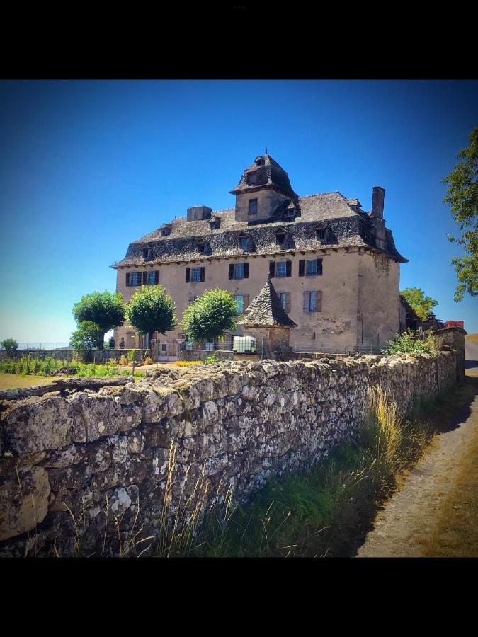 Chateau De Cours Senezergues Luaran gambar